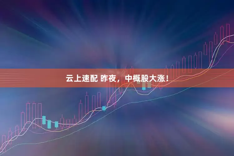 云上速配 昨夜，中概股大涨！